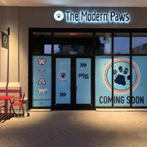 Images The Modern Paws