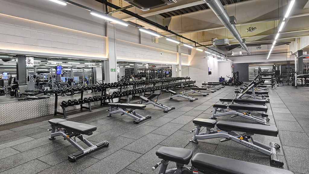 Free Weights Area