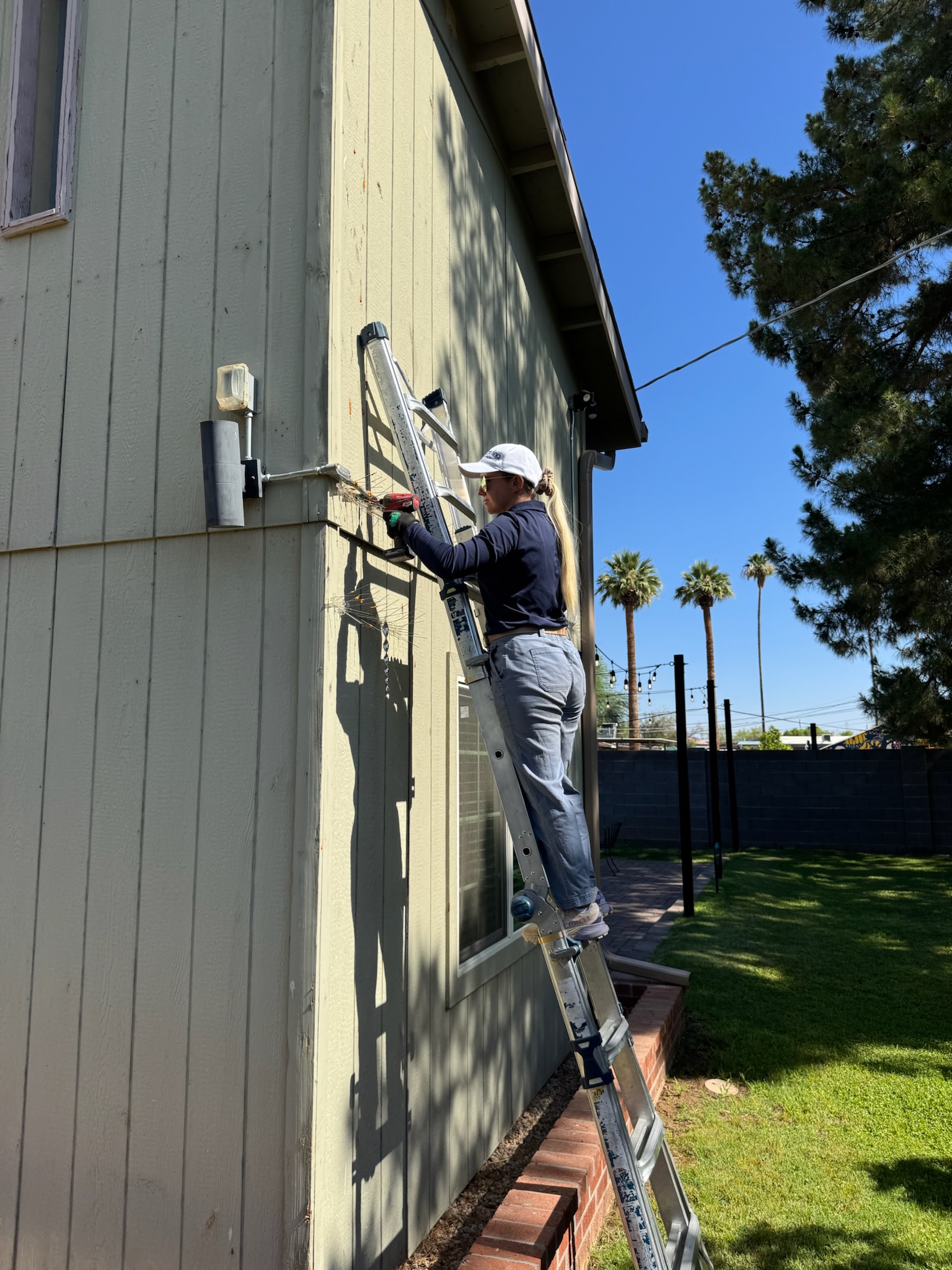 Darling Wildlife and Pest Control Services Image