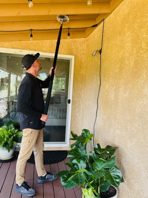 Images Gingerly Pest Control