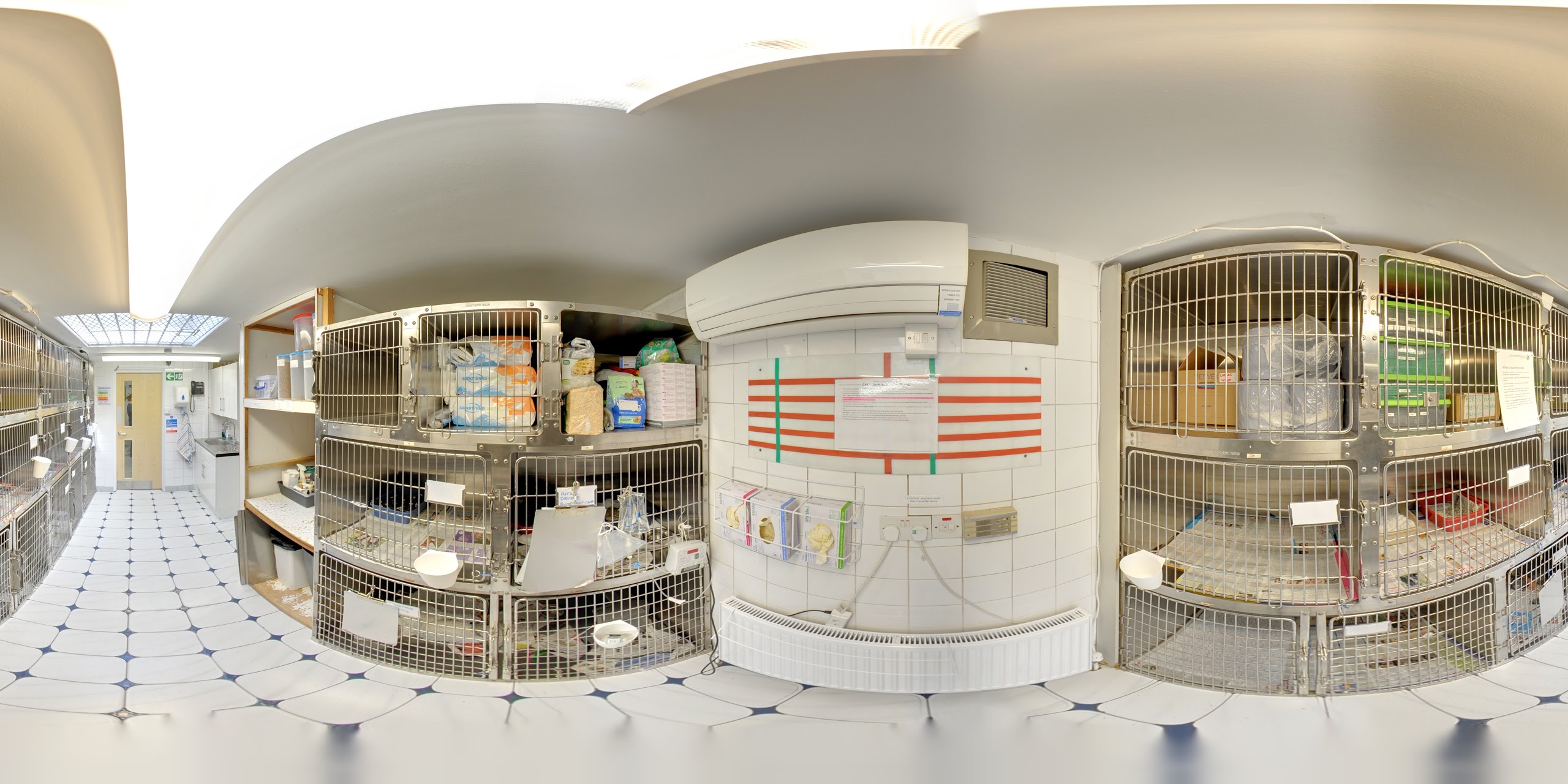 Images Streatham Hill Veterinary Surgery
