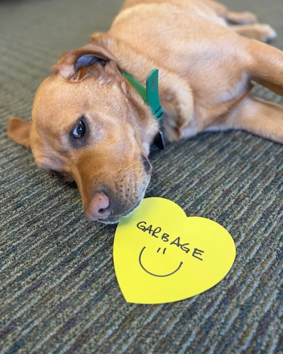 Happy St. Patrick&rsquo;s Day from us a State Farm!