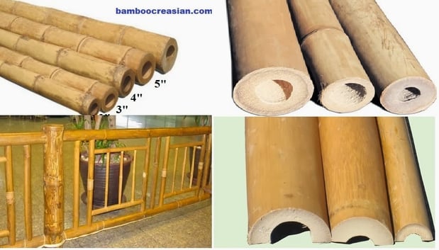 Images Bamboo Creasian Inc