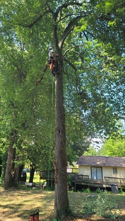 Images Bowie's Outdoor Services, LLC.