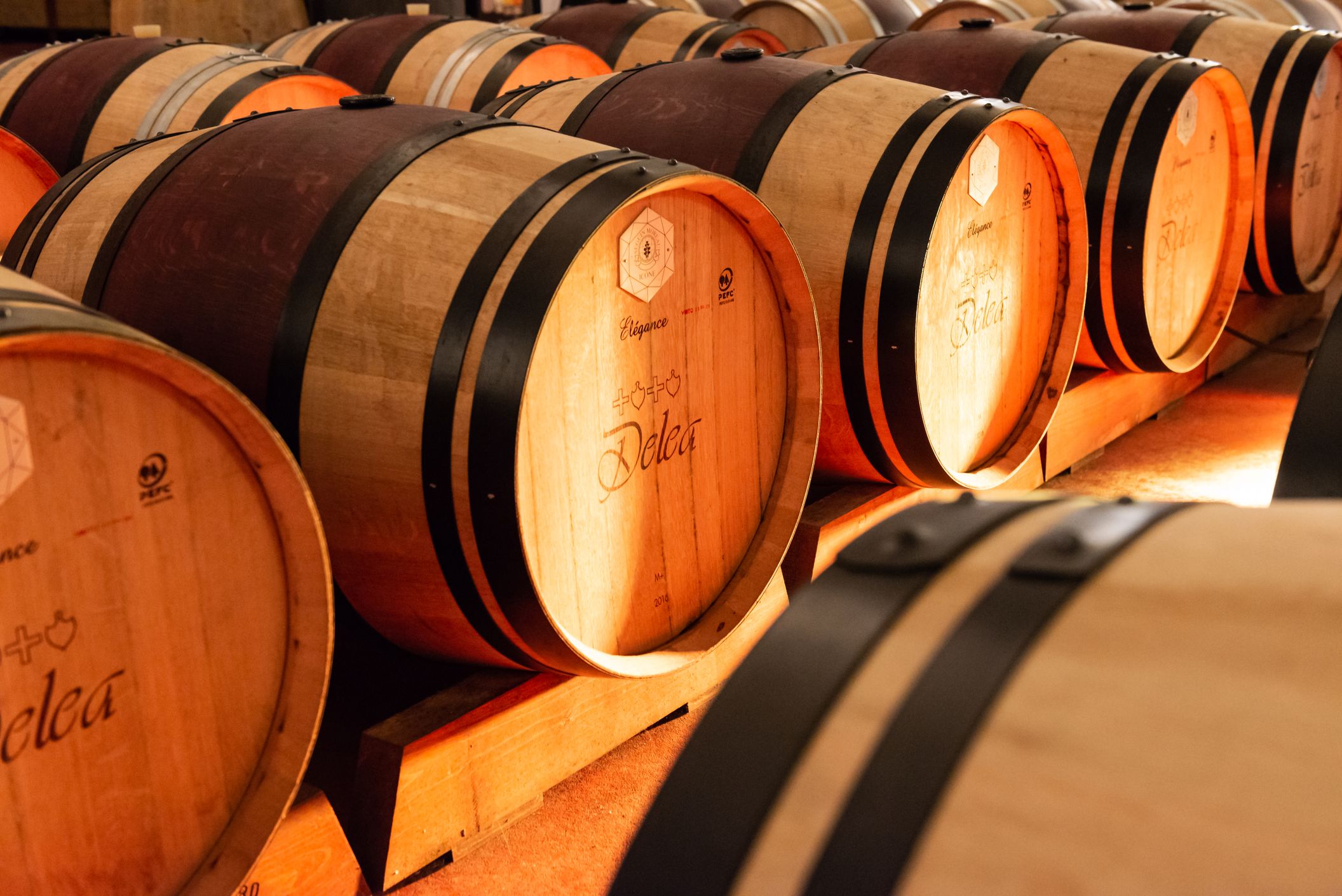 Bilder Delea Angelo SA