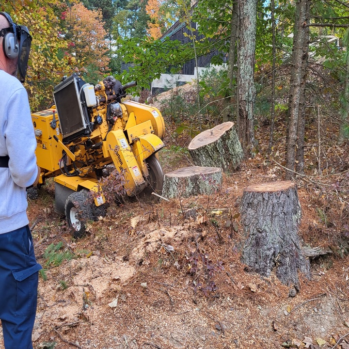 Images Maineland Stump Grinding