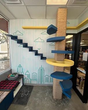 Images Rasar construction