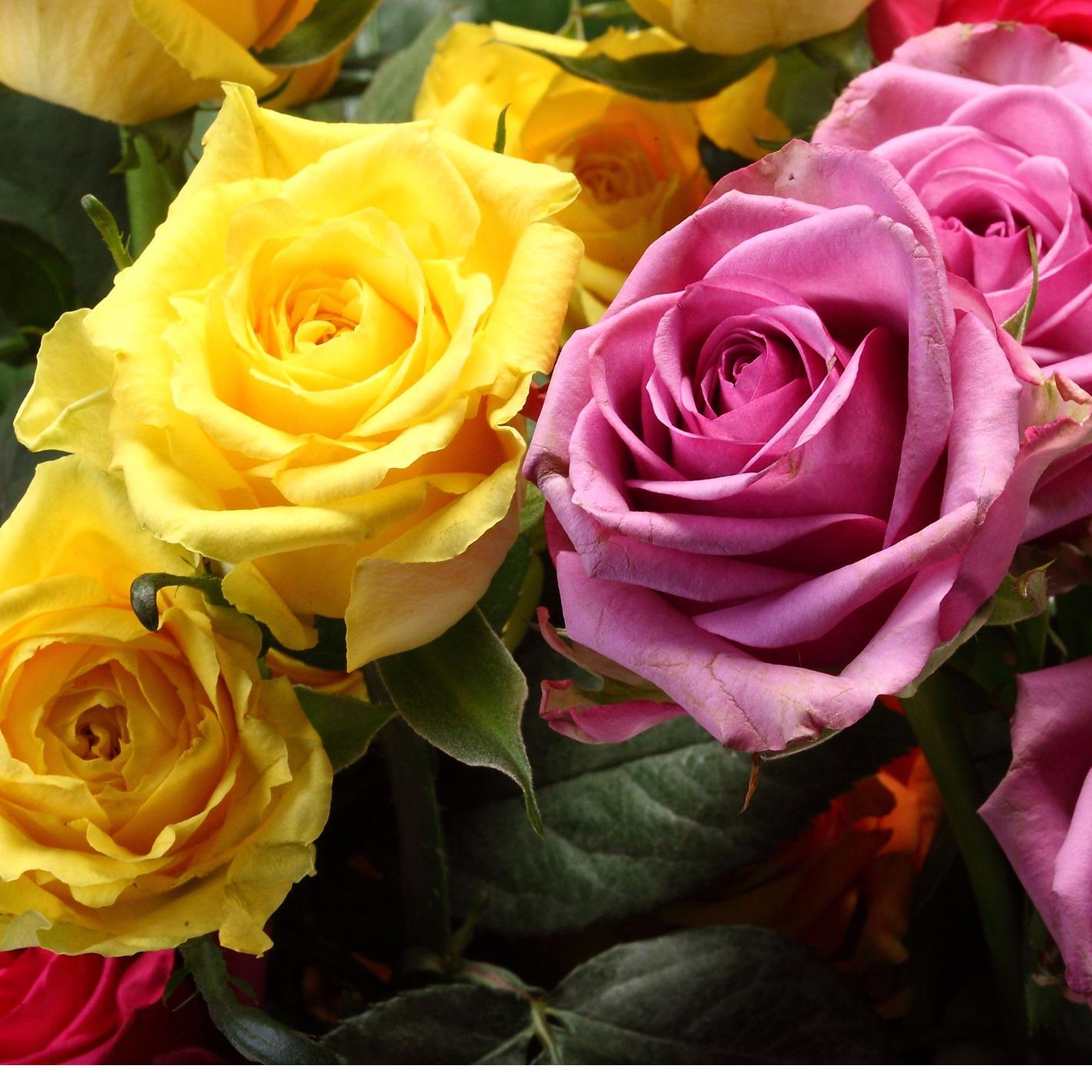 Best Wishes Flowers & Gifts