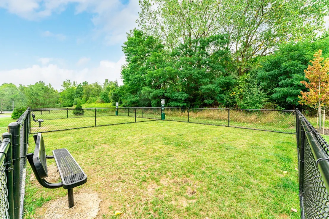 Fenced dog park with a bench and grass.