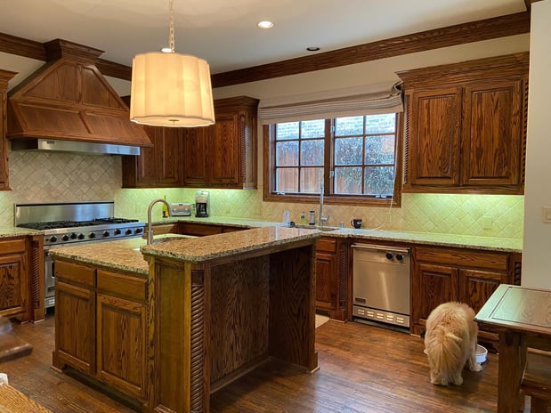 Images The Brazilian Painter