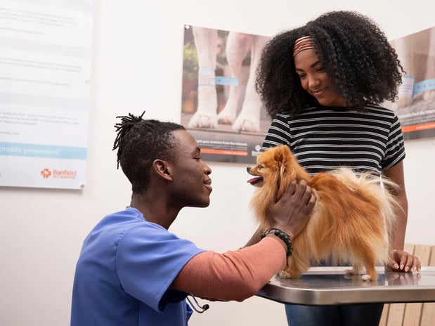 Images Banfield Pet Hospital