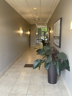 Images LifeStance Therapists & Psychiatrists Huntersville