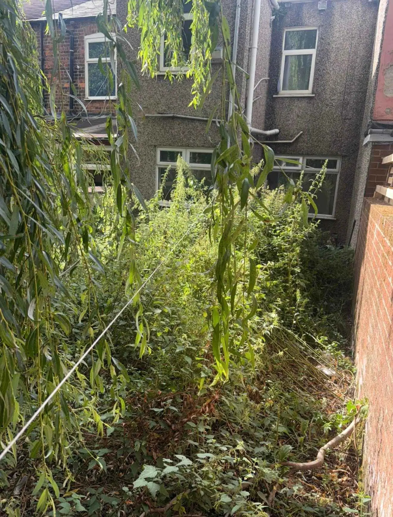 Images Cadman Rubbish Removals Ltd