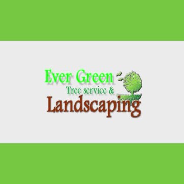 Ever Green Tree Services & Landscaping