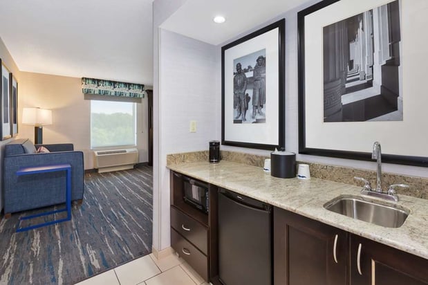 Images Hampton Inn and Suites Flint/Grand Blanc
