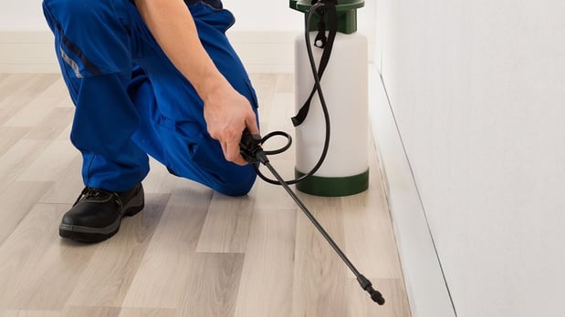 Images Pest Solutions