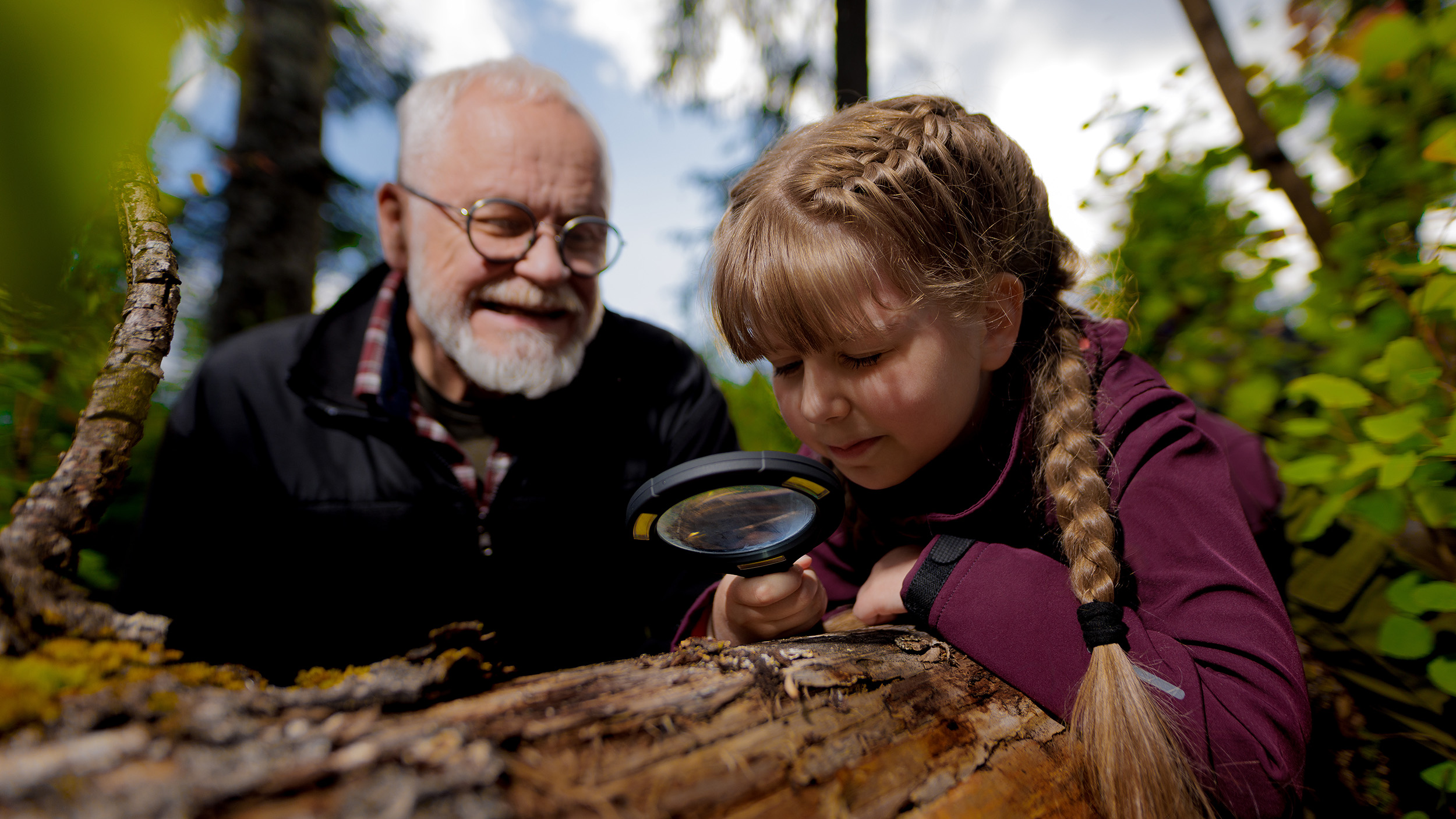 Images UPM Metsä Suonenjoen metsäpalvelutoimisto