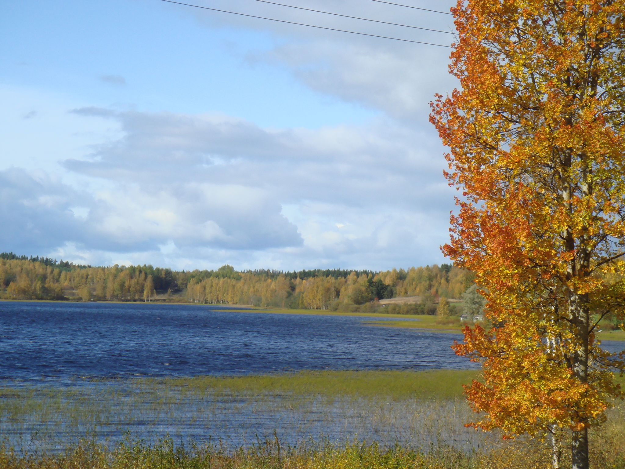 Images Metsänhoitoyhdistys Kihniö-Parkano Parkanon toimisto