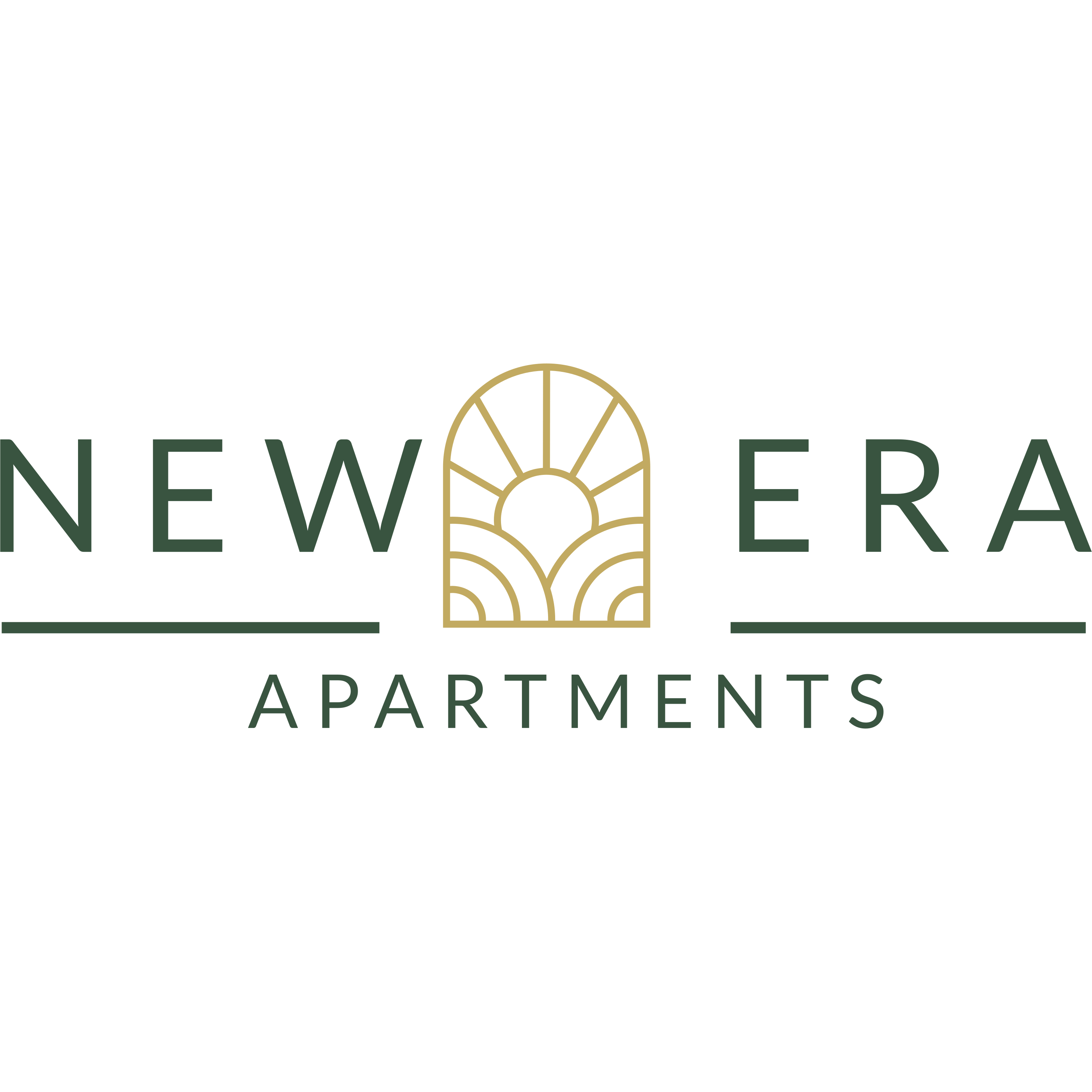 company logo