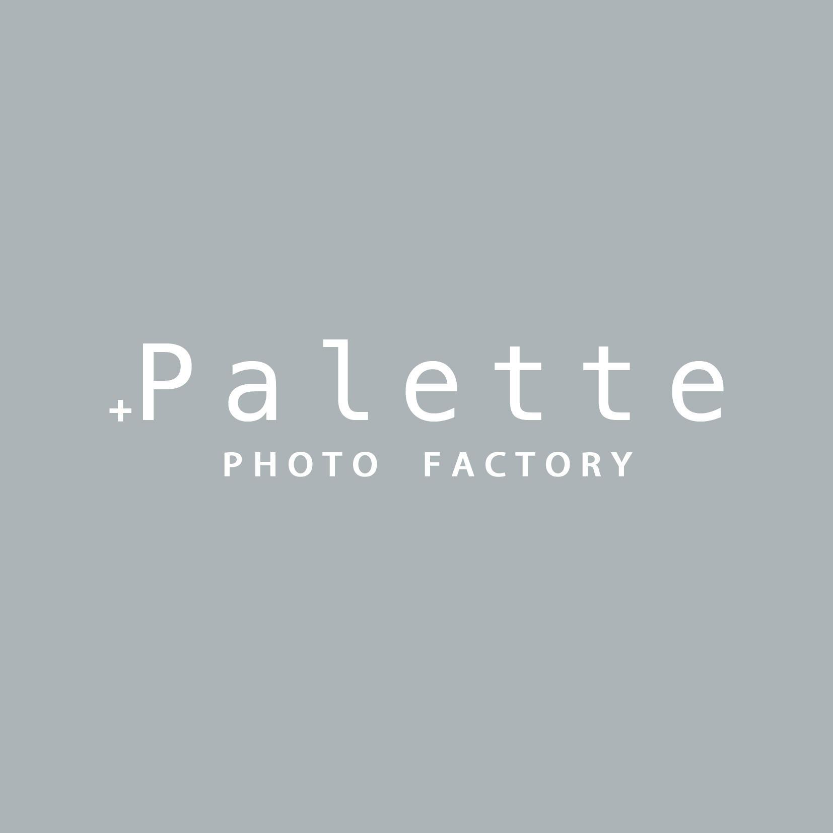 Palette+plus 札幌西岡店 Logo