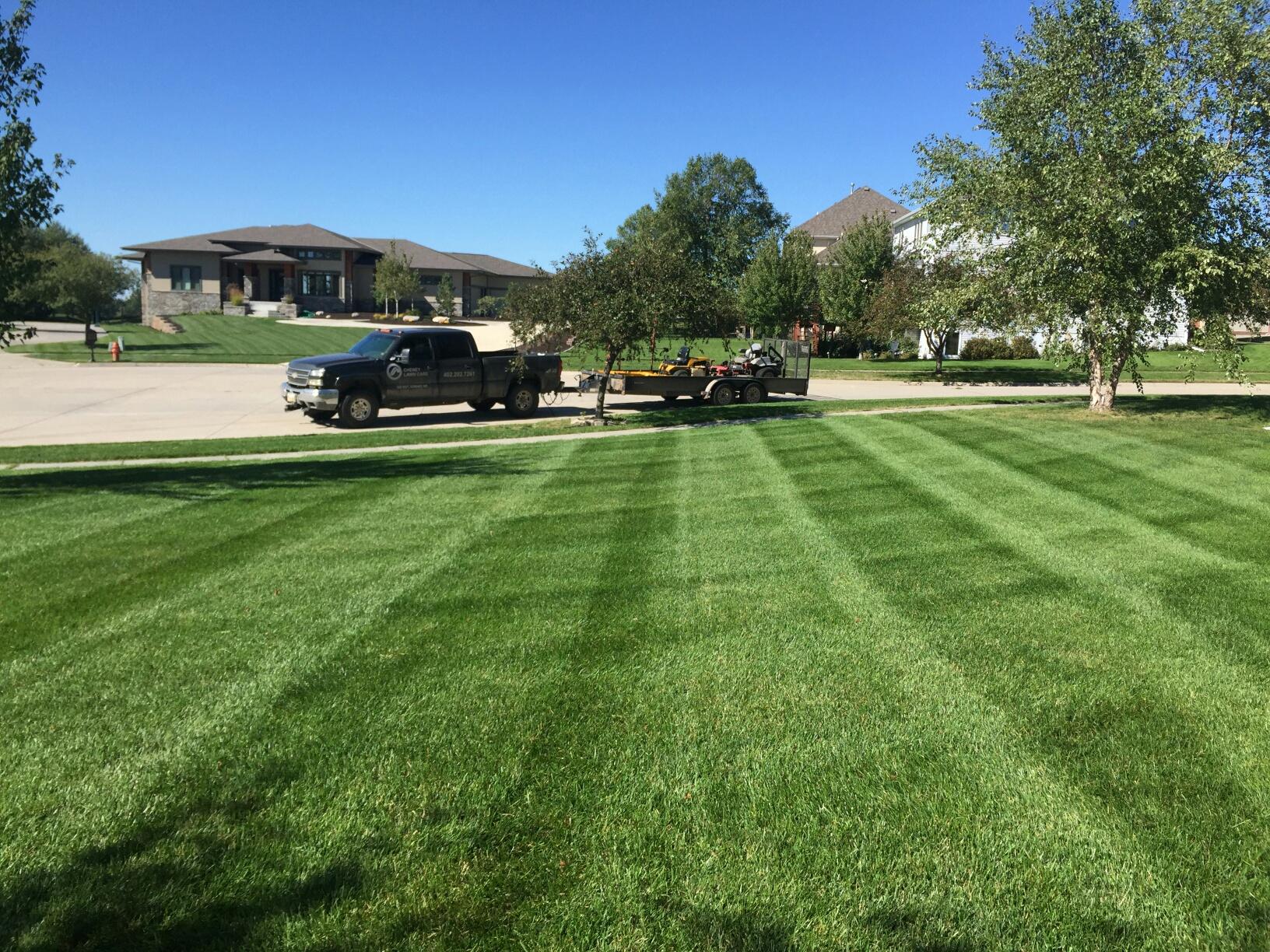 Apogee Lawns 8 