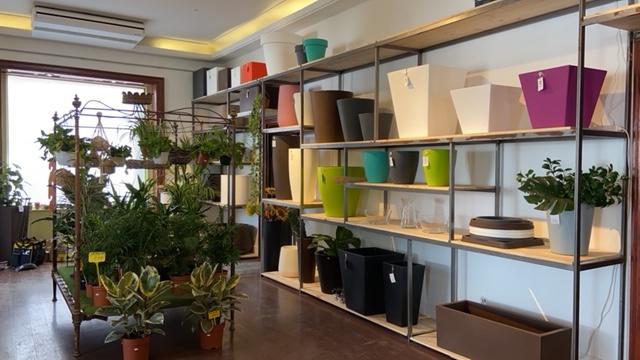 Images Grupo Anatura - La Casa De Las Semillas