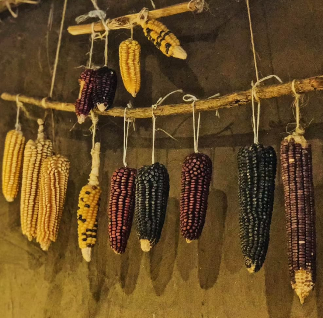 Bilder MIQUIZTLI - Cocina mexicana