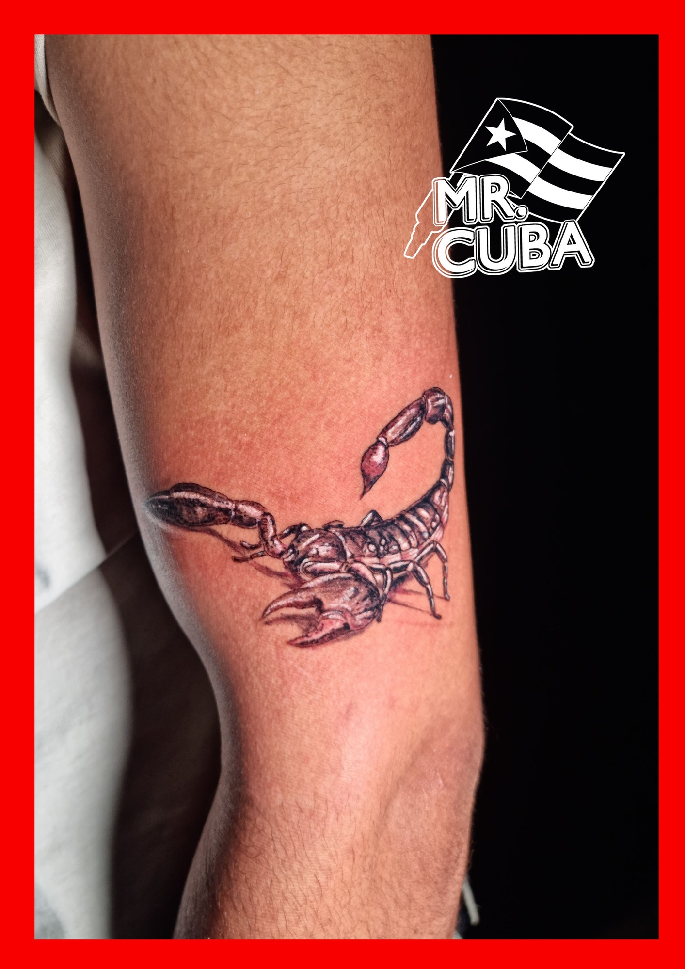 Images Tattoo Y Piercing The Power Ink