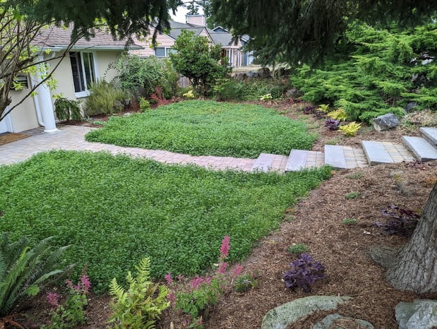Images Ballinger Landscaping, LLC