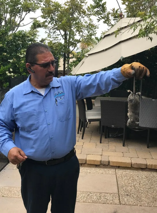 Images Xtreme Pest Control