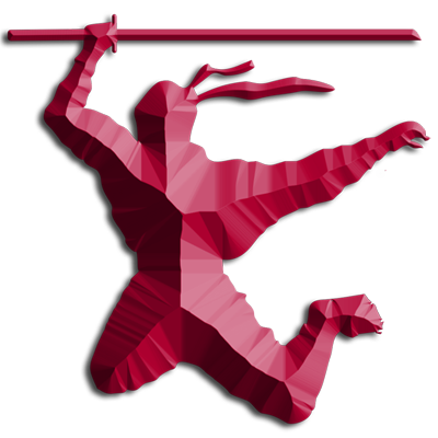 Web Presence Ninjas