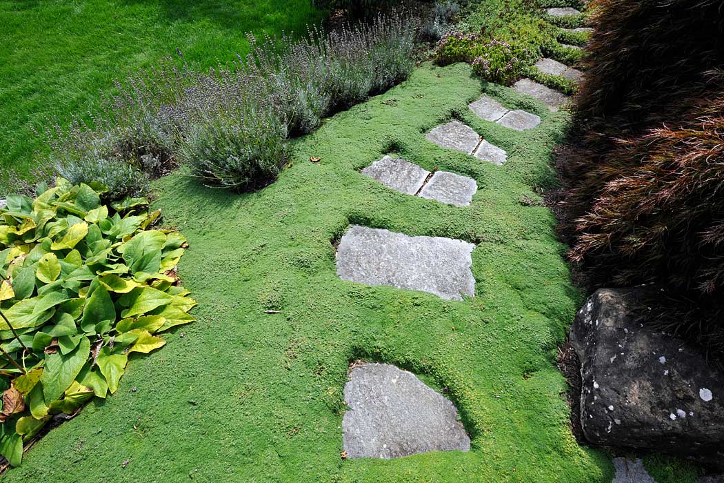 Rothenbühler Gartenbau AG, Hessweg 9 in Zollikofen