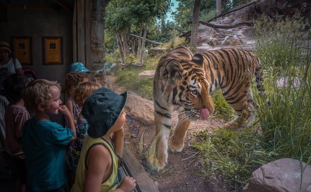 Images Utah's Hogle Zoo