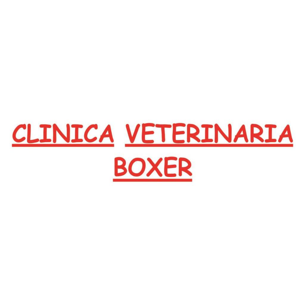 Clinica Veterinaria Boxer Logo