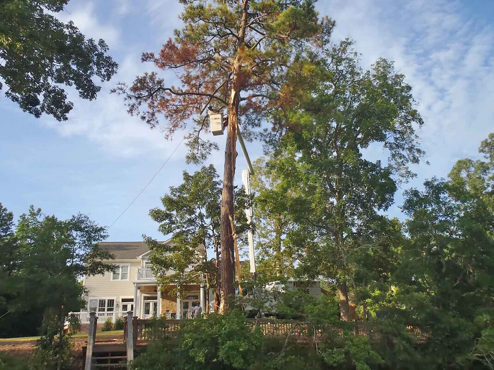 Whether you need tree trimming, tree removal, or want to plant a new tree, our certified arborists a Fitness Tree Wilmington (910)343-8016