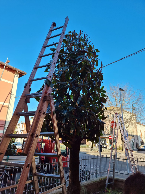 Images Bosi Tonino "Il Giardiniere"