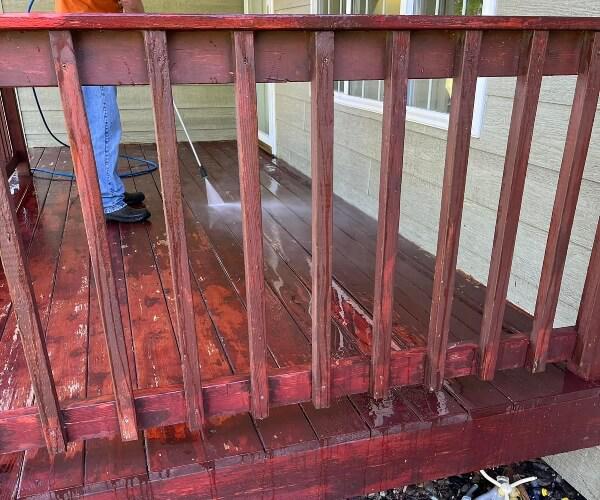 hot water extraction carpet cleaning