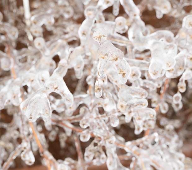 Images A Joy Story Photography