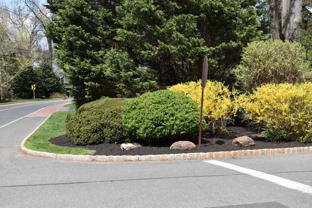 Images Randy's Pro Landscaping & Tree Service