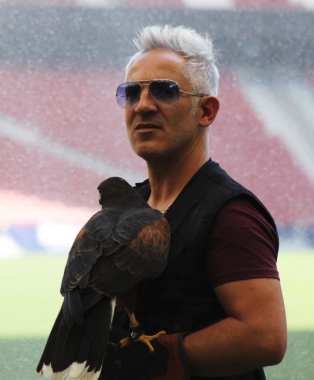 Images Bird Control Falcon S.L.