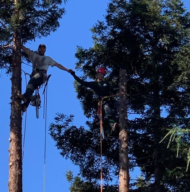Images Am/Pm Tree Service, Inc.