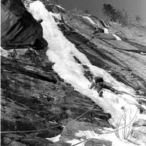 Images The Kane Schools - Wild & Rescue Medicine