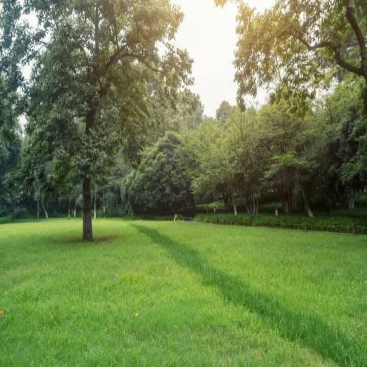 Images Eden Lawn & Tree Service