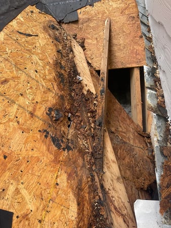 Images Partners Roofing