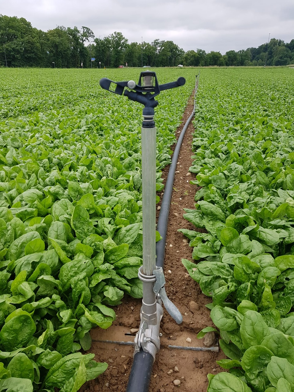 Bilder AT AGRAR-TECHNIK AG