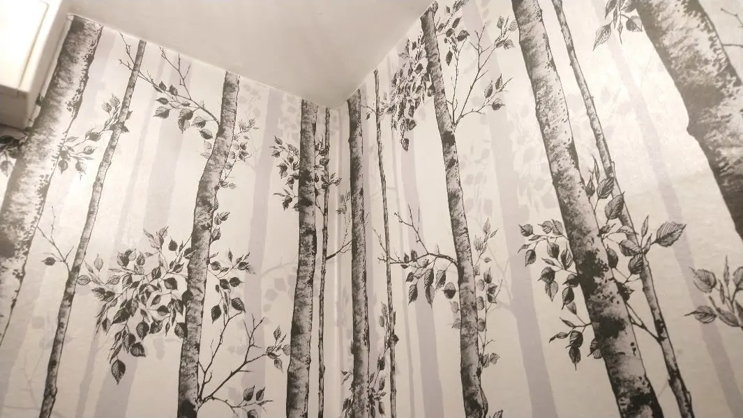 Images Simon Scrimshaw Painting & Decorating