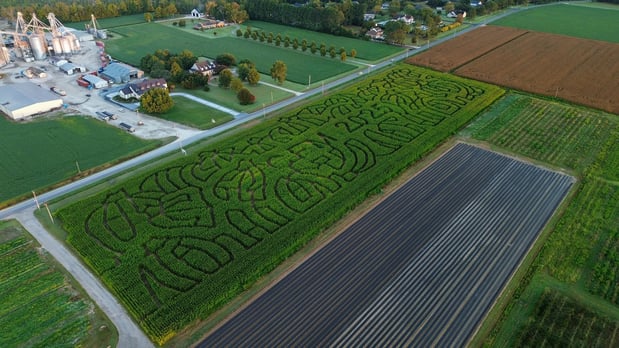 Images Cullipher Farm