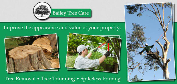 Images Bailey Tree Care
