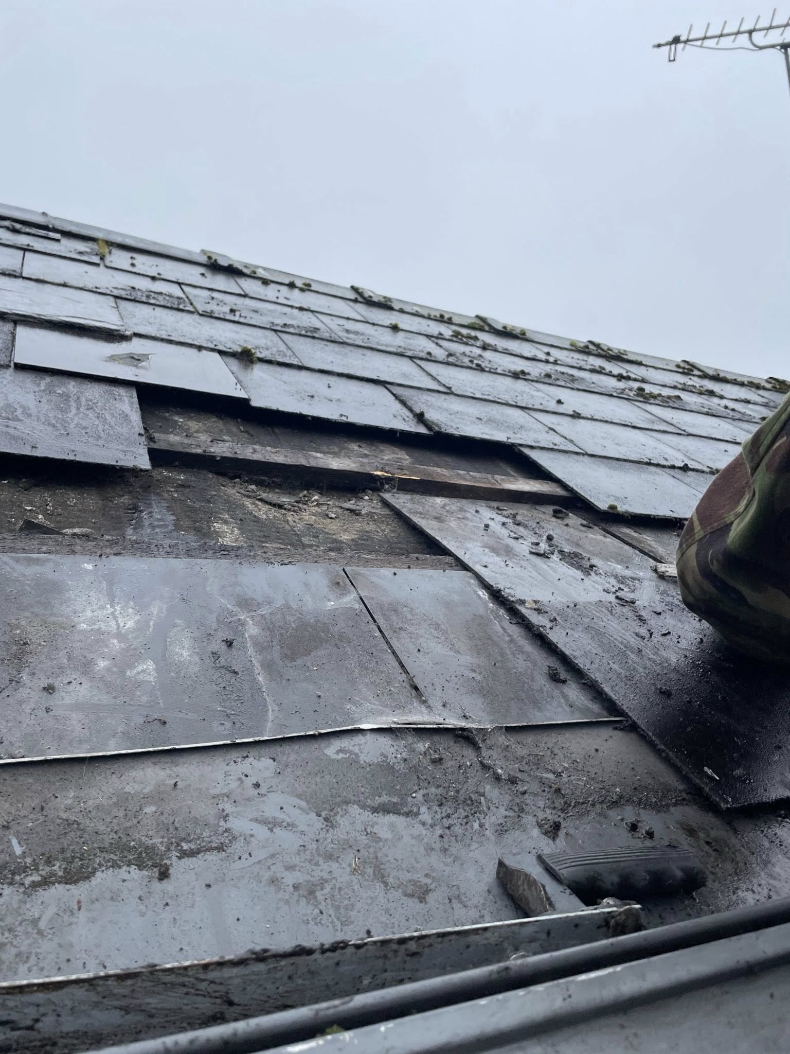 Maughan Roofing & Guttering 8