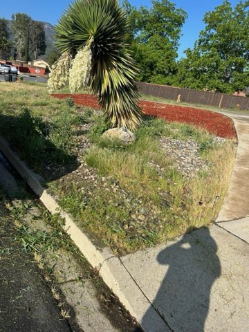 Images Palacios Landscaping